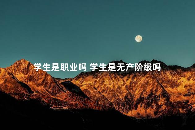  学生是职业吗 学生是无产阶级吗